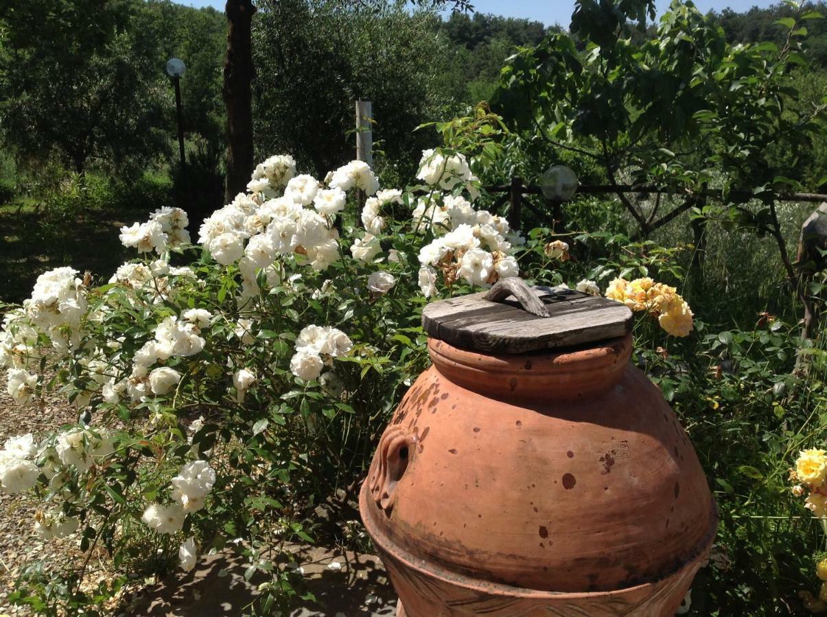 Agriturismo Prato Barone Руфина Экстерьер фото