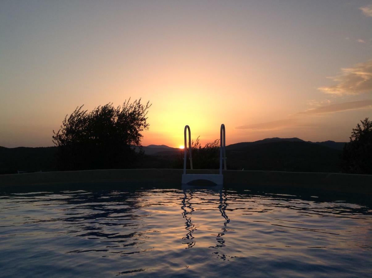 Agriturismo Prato Barone Руфина Экстерьер фото