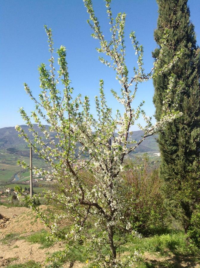 Agriturismo Prato Barone Руфина Экстерьер фото